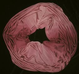 Click for larger image.